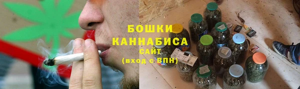 ешки Аркадак