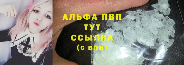 ешки Аркадак
