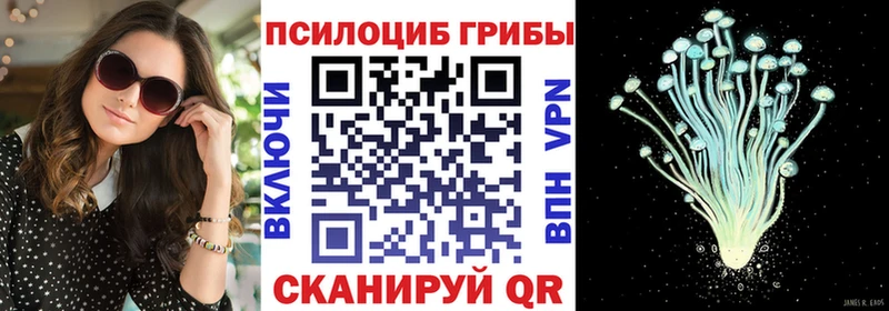 цена   shop как зайти  Галлюциногенные грибы Cubensis  Долгопрудный  МЕГА ТОР 